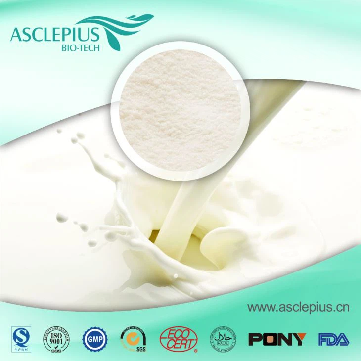 Whey Protein Concentrate Powder, Gold Standard Supplier Wholesale