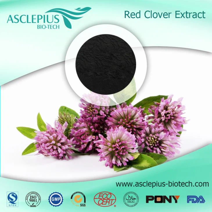 Red Clover Extract,the Active Ingrediants Is Isoflavones,formononetin supplier Wholesale