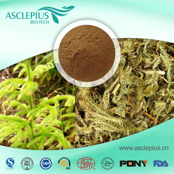 Lycopodium Extract Powder,light Lycopodium ,heavy Lycopodium Supplier Wholesale