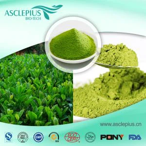 Dostawca organicznej zielonej herbaty Matcha w proszku Hurtownia herbaty Matcha Instant